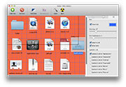 DMG Packer for Mac: grid and scale