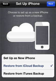 Restore from iCloud Backup